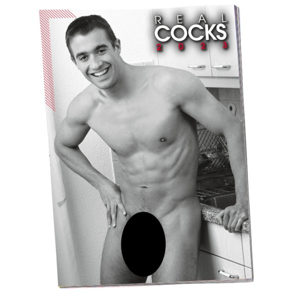 Naken mann kalender - 2026 (10 stk)