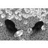 You2Toys - Diamond - silikon analplugg (liten)