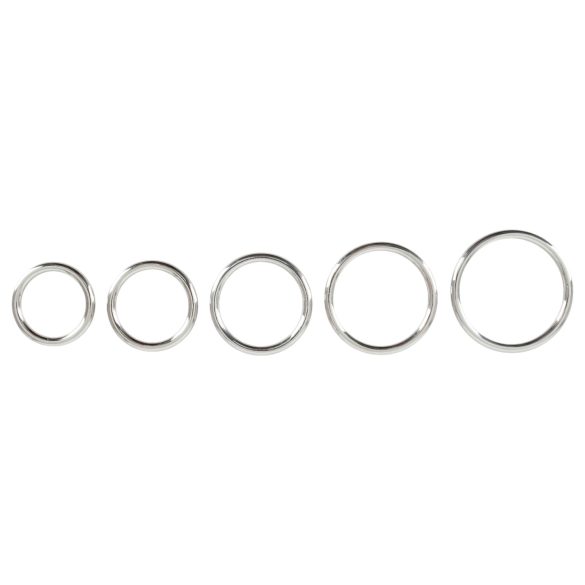 Bad Kitty - Sett med 5 metall penisringer