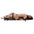 You2Toys - Bondage Board - bærbart bondagesett (13 deler)