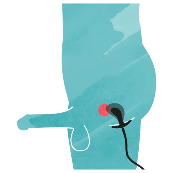 You2Toys - oppblåsbar anal utvider plugg (svart)