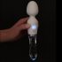 Liaison Wand - silikon-glass LED vibrator (gjennomsiktig)