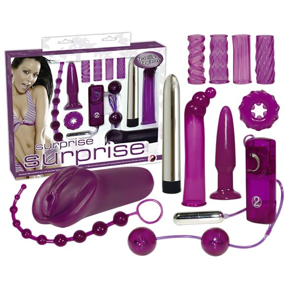 You2Toys - Erotisk overraskelse - vibratorsett (12 deler)