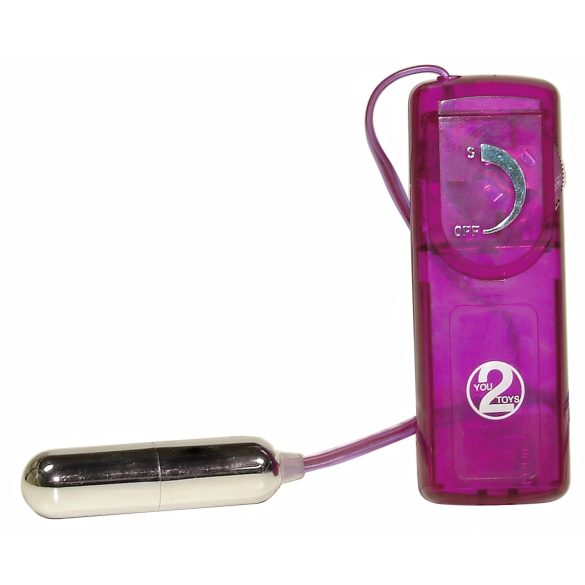 You2Toys - Erotisk overraskelse - vibratorsett (12 deler)