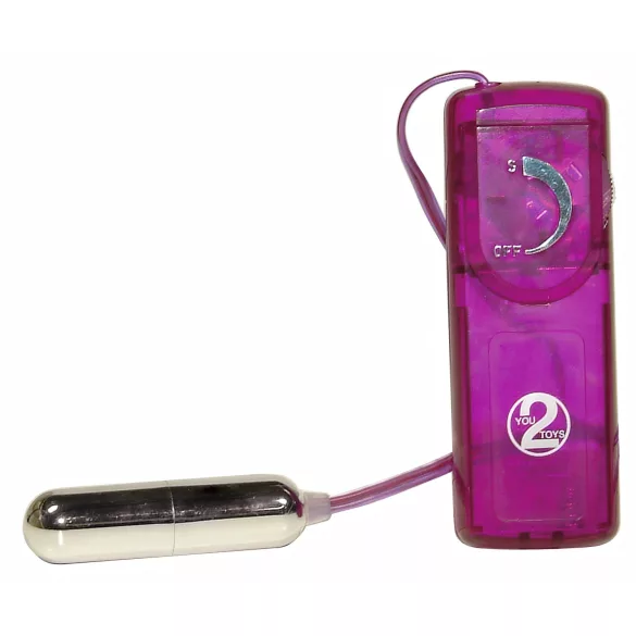You2Toys - Erotisk overraskelse - vibratorsett (12 deler)