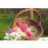 You2Toys - Rabbit Hammer Vibrator - kanin-design