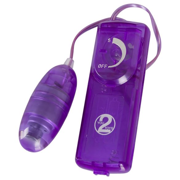 You2Toys - Lilla Fornøyelse - vibrator sett (9 deler)