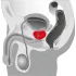 You2Toys - Prostatamassasjeapparat - roterende prostata vibrator (svart)