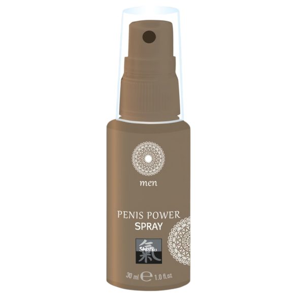 HOT Shiatsu Penis Power - stimulerende intim spray for menn (30 ml)