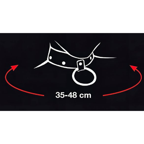 Bad Kitty - hjerteformet halsbånd og metallbånd (svart)