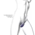 Love to Love Wonderlover - klitoris-lokkende G-punktvibrator (mørk lilla)