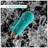 Blush Aria - stimulerende finger-vibrator (grønn)
