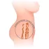 Intense Deep Touch Jesse - realistisk torso-masturbator (naturlig)