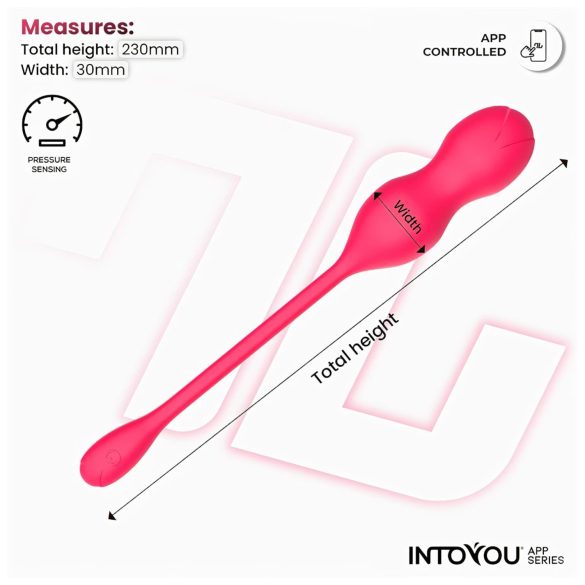 INTOYOU Kyra Smart Vibrerende Kegel Duo (rosa)