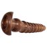 Evolved Twisted Love - anale dildo sett (treutseende)