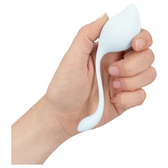 Loveline Bekkenbunn - Kegel Sett (5 stk)