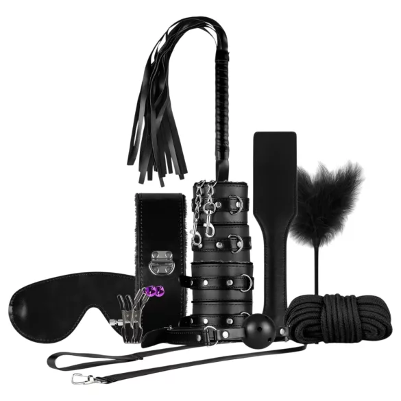 Secret Pleasure Chest - avansert BDSM-sett - 14 deler (svart)