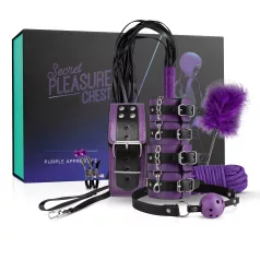 Secret Pleasure Chest - avansert BDSM-sett (14 deler)