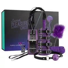Secret Pleasure Chest - avansert BDSM-sett (14 deler)