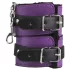 Secret Pleasure Chest - avansert BDSM-sett (14 deler)