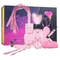 Secret Pleasure Chest - avansert BDSM-sett - 14 deler (rosa)